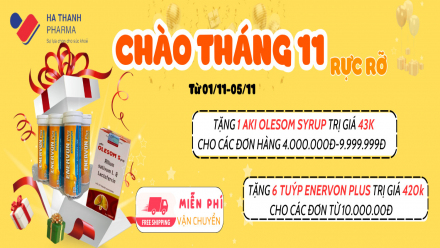 CHÀO THÁNG 11